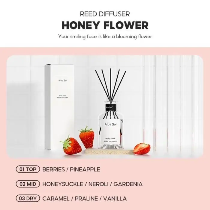 OHSOME - Alba Sol Reed Diffuser Lucky Water / Nature Seed / Marine Ocean 150ml - Image 4