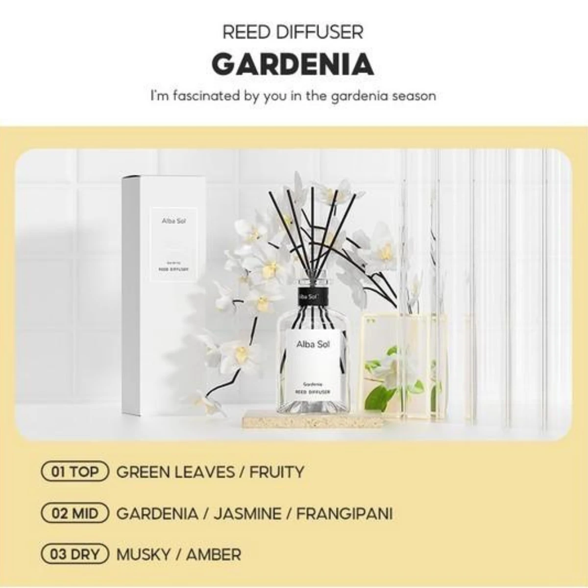 OHSOME - Alba Sol Reed Diffuser Lucky Water / Nature Seed / Marine Ocean 150ml - Image 3